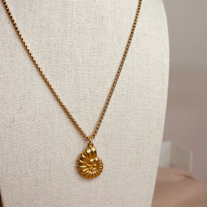 Shell Pendant Necklace