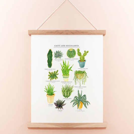 Cacti & Succulents A3 Giclee Print