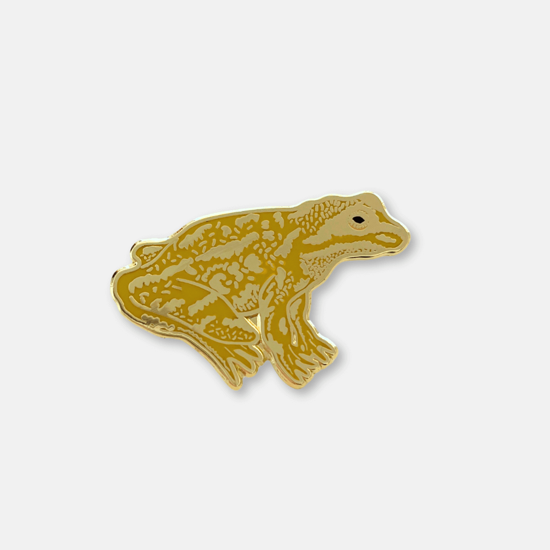 Frog Enamel Pin