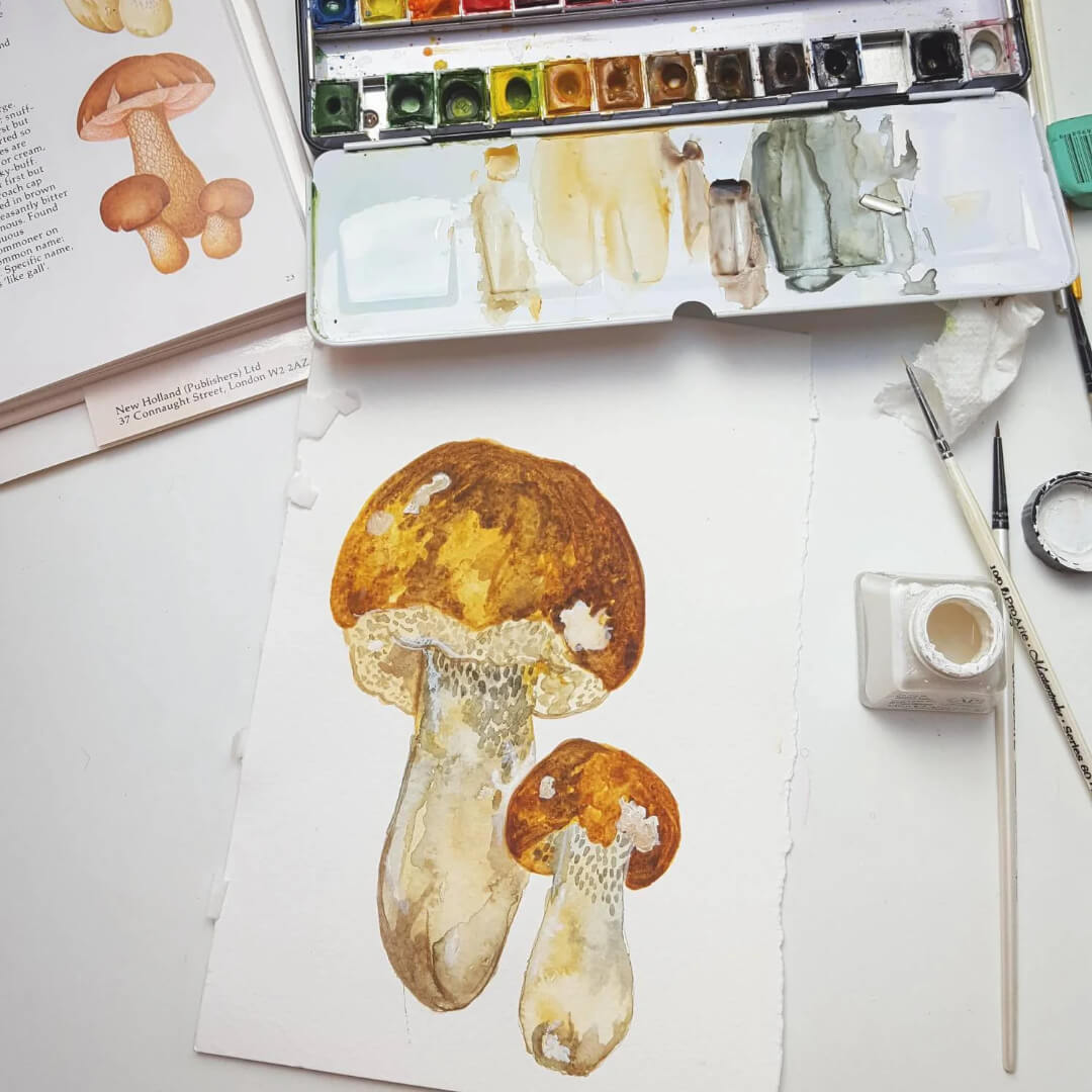 Mushroom & Toadstool A3 Giclee Print