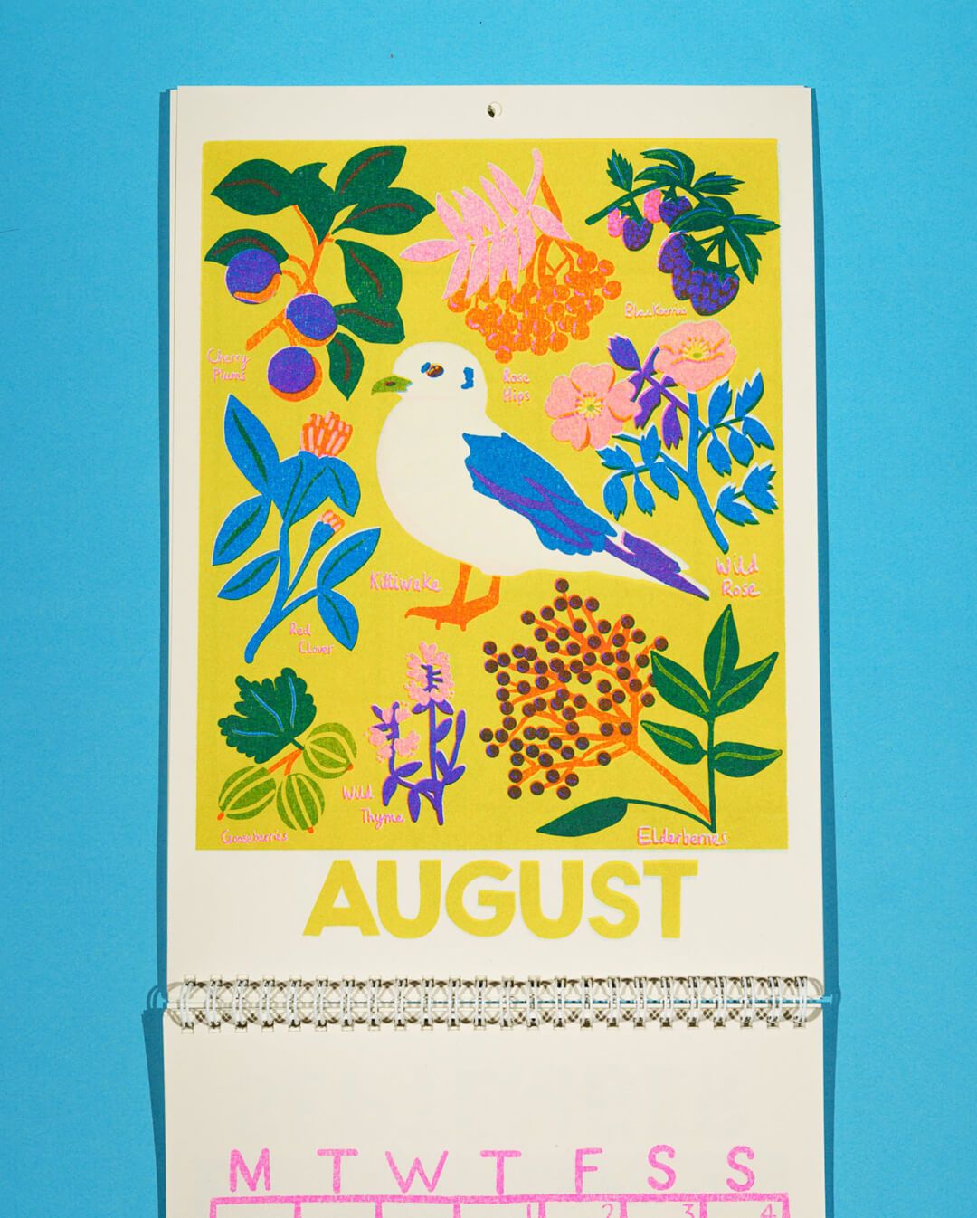 Naomi Wilkinson 2024 Foraging Calendar BAM Store + Space