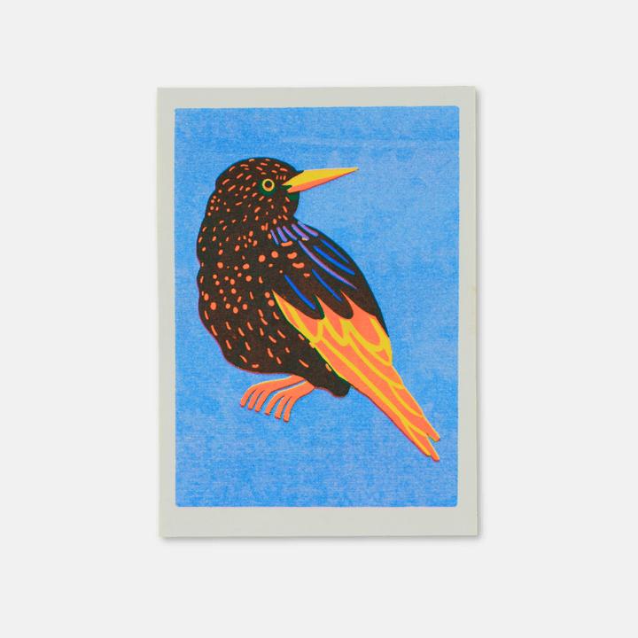 Starling A5 Riso Print