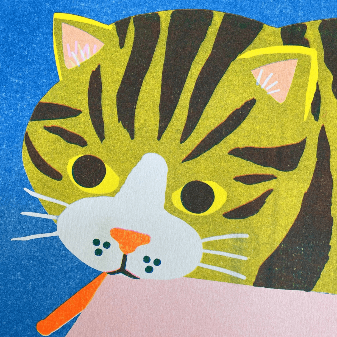 Cat In A Box A3 Riso Print