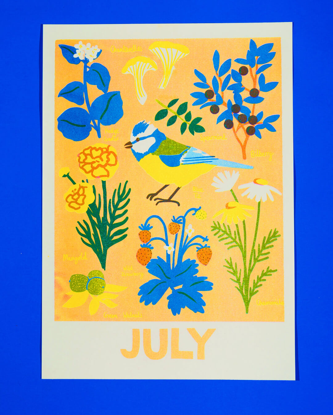 July Foraging Riso Print