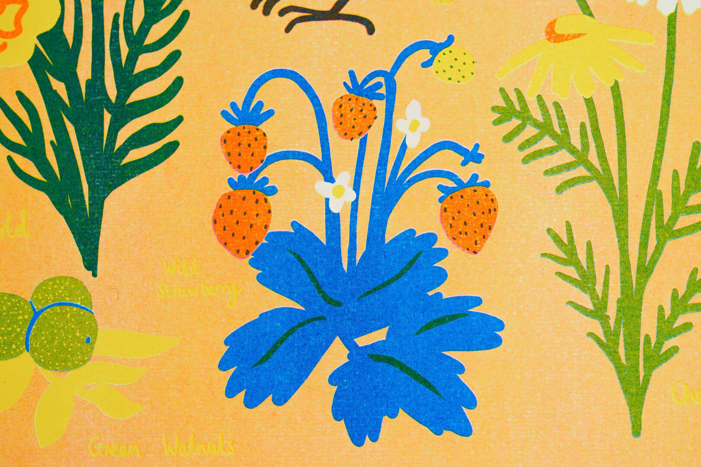 July Foraging Riso Print