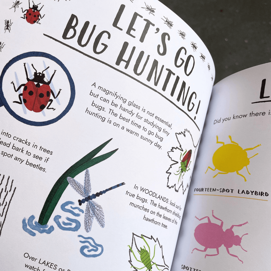 Hello Summer: A Sticker Activity Nature Guide