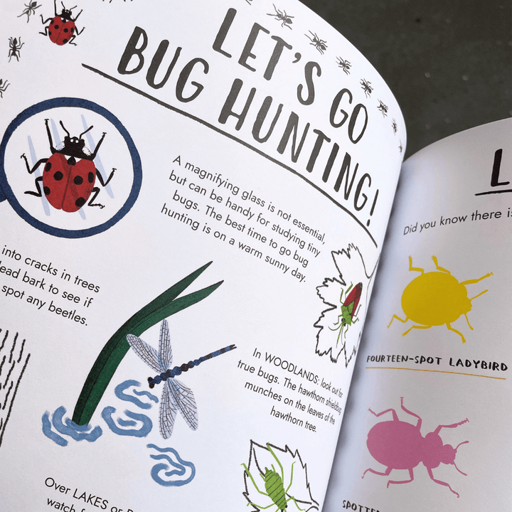 Hello Summer: A Sticker Activity Nature Guide
