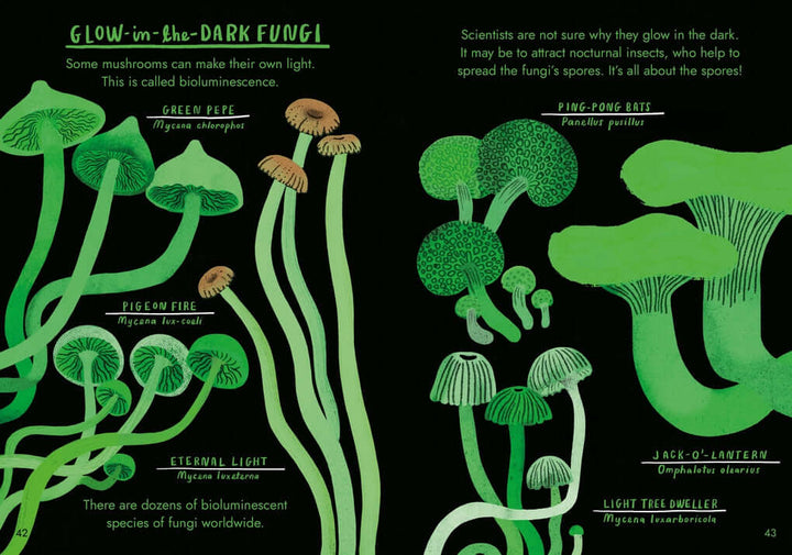 Little Guides to Nature: Hello Fungi