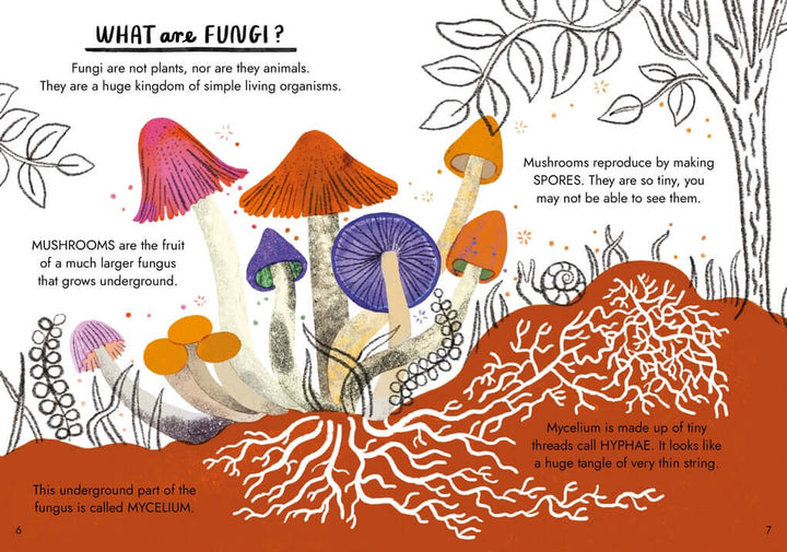 Little Guides to Nature: Hello Fungi