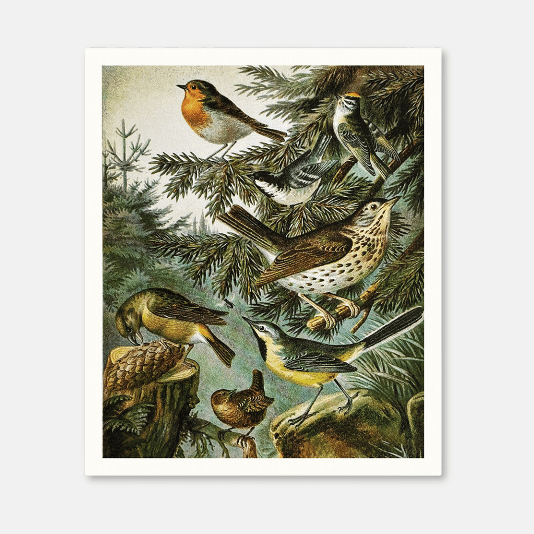 British Birds Riso Art Print