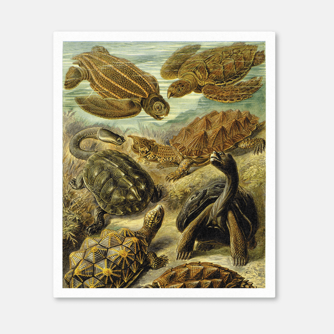 Turtles Under Water Riso Art Print