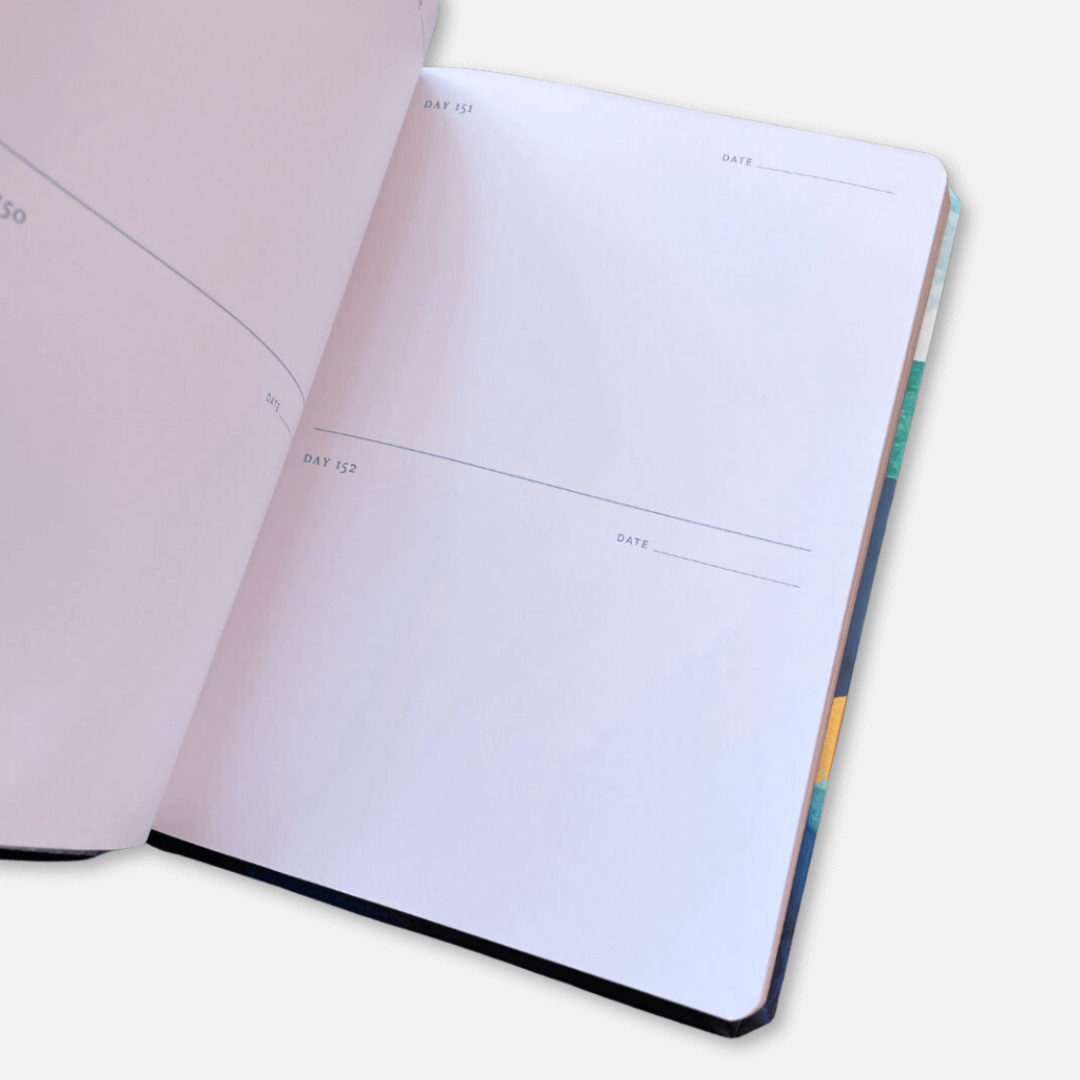 One Sketch a Day Diary