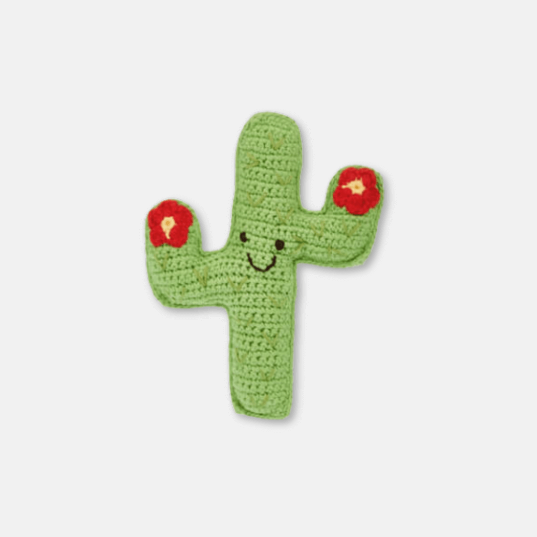 Cactus Crochet Rattles