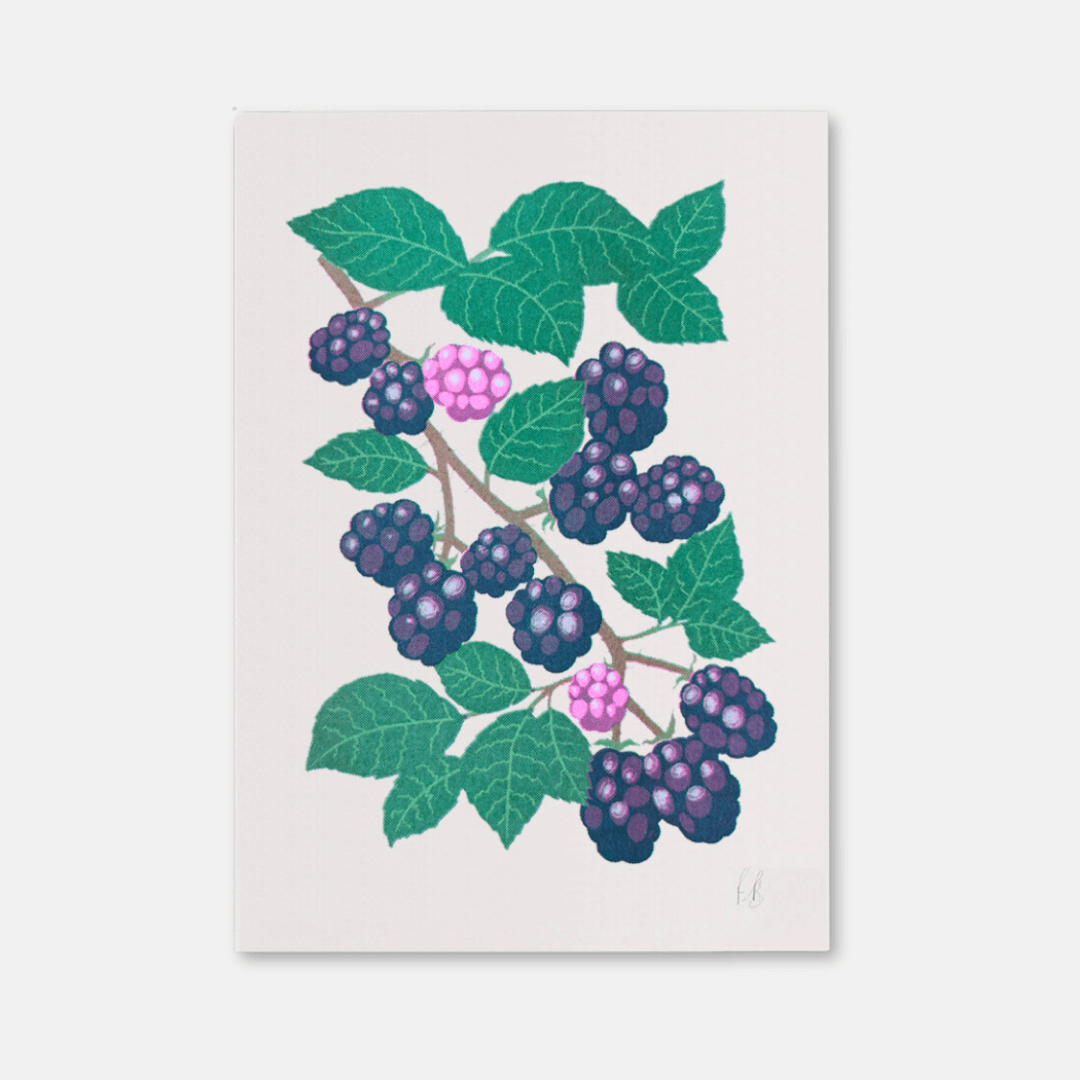 Blackberry A4 Riso Art Print