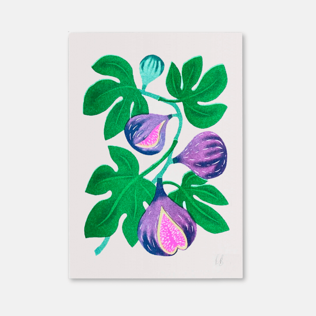 Fig A4 Riso Art Print