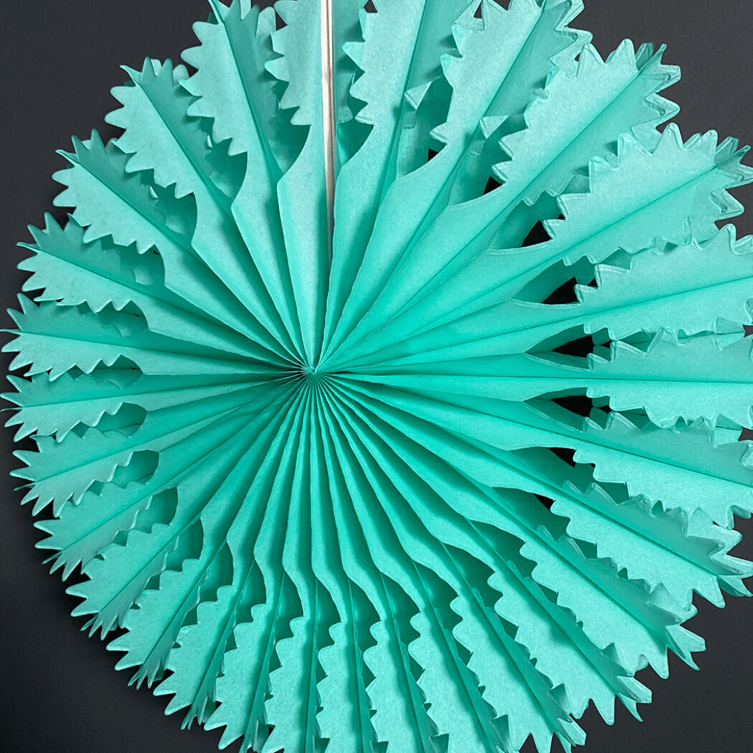 Paper Fan Decorations
