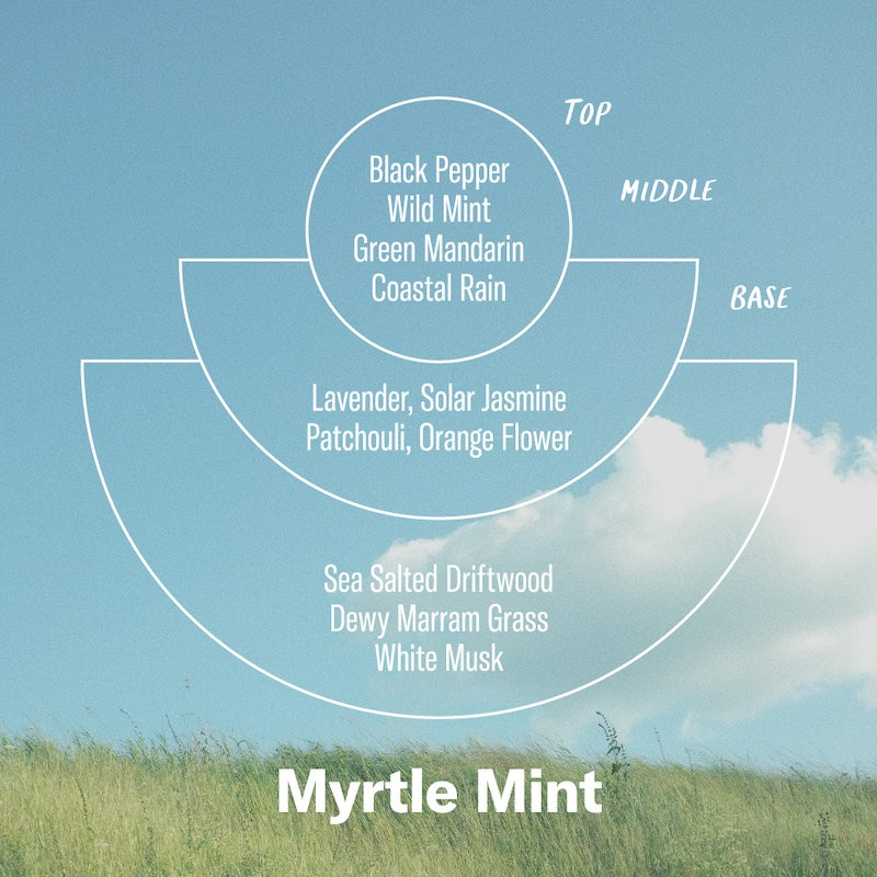 Alchemy Myrtle Mint Jar Candle