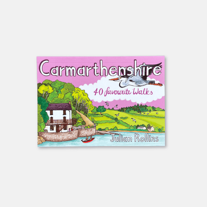Pocket Mountain Walking Guide: Carmarthenshire