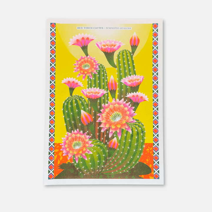 Cactus A3 Risograph Print