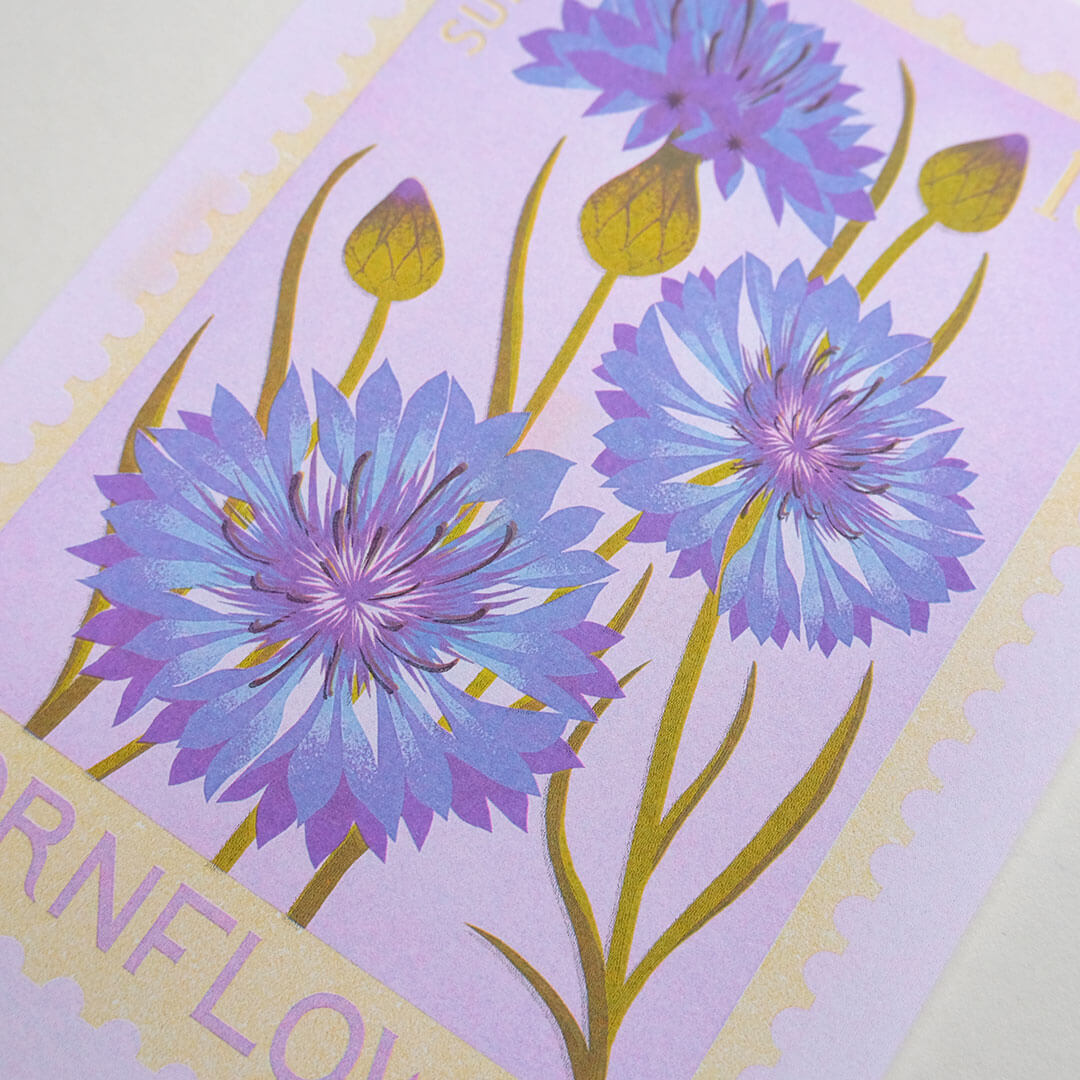 Cornflower A5 Risograph Print