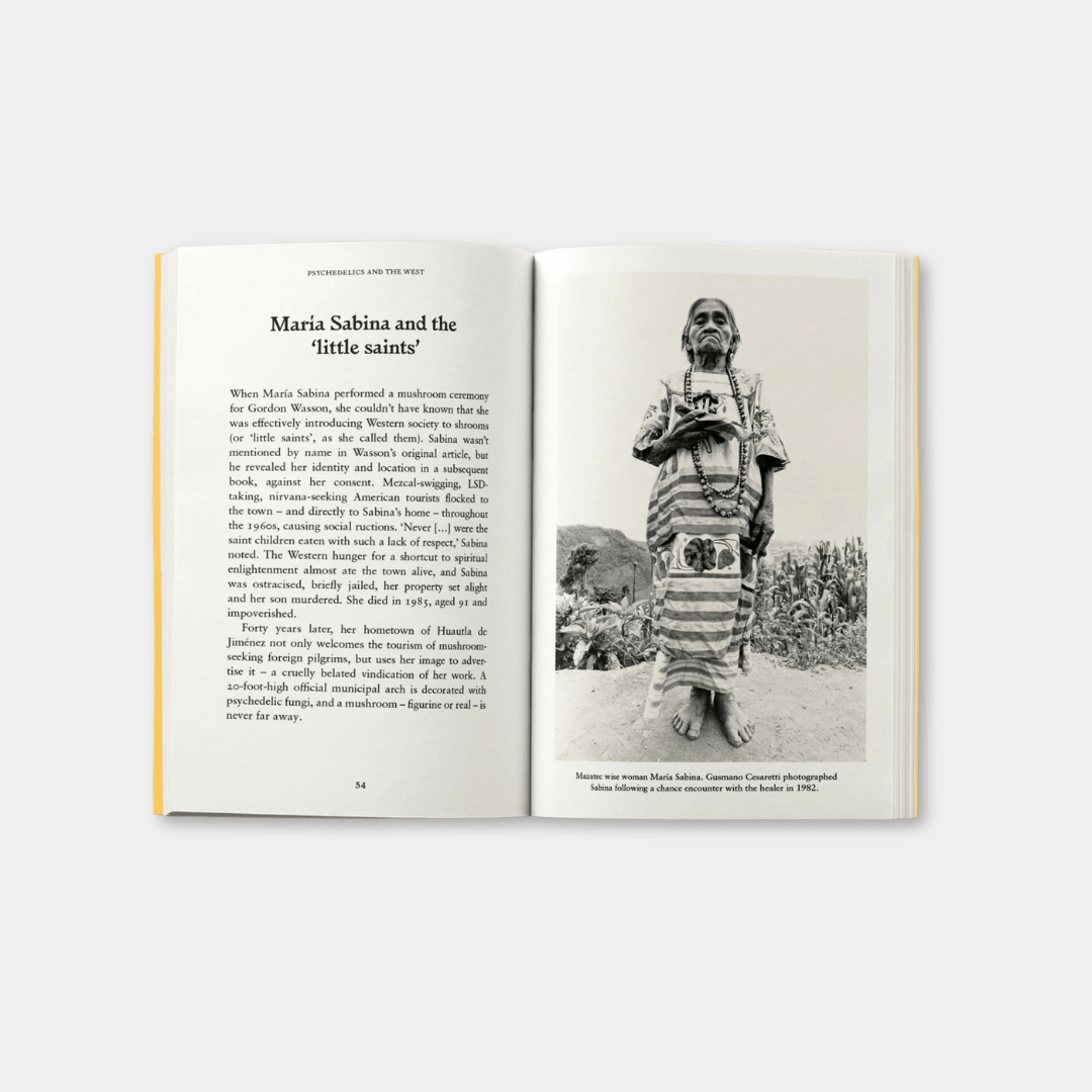 Psychedelics: A Pocket Primer