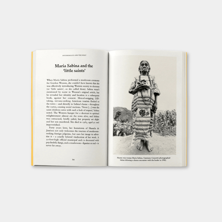 Psychedelics: A Pocket Primer