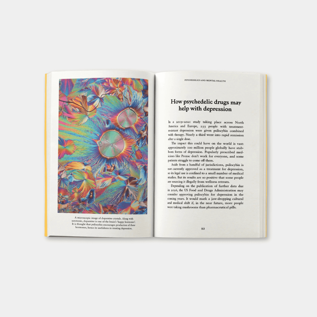 Psychedelics: A Pocket Primer