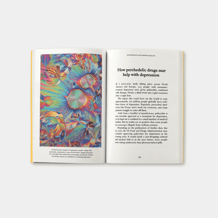 Psychedelics: A Pocket Primer