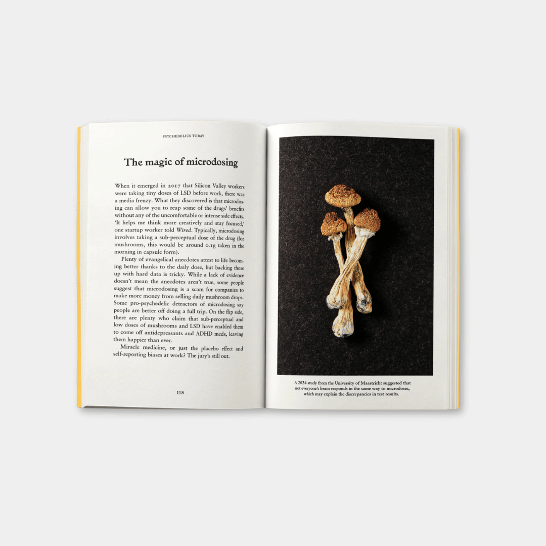 Psychedelics: A Pocket Primer