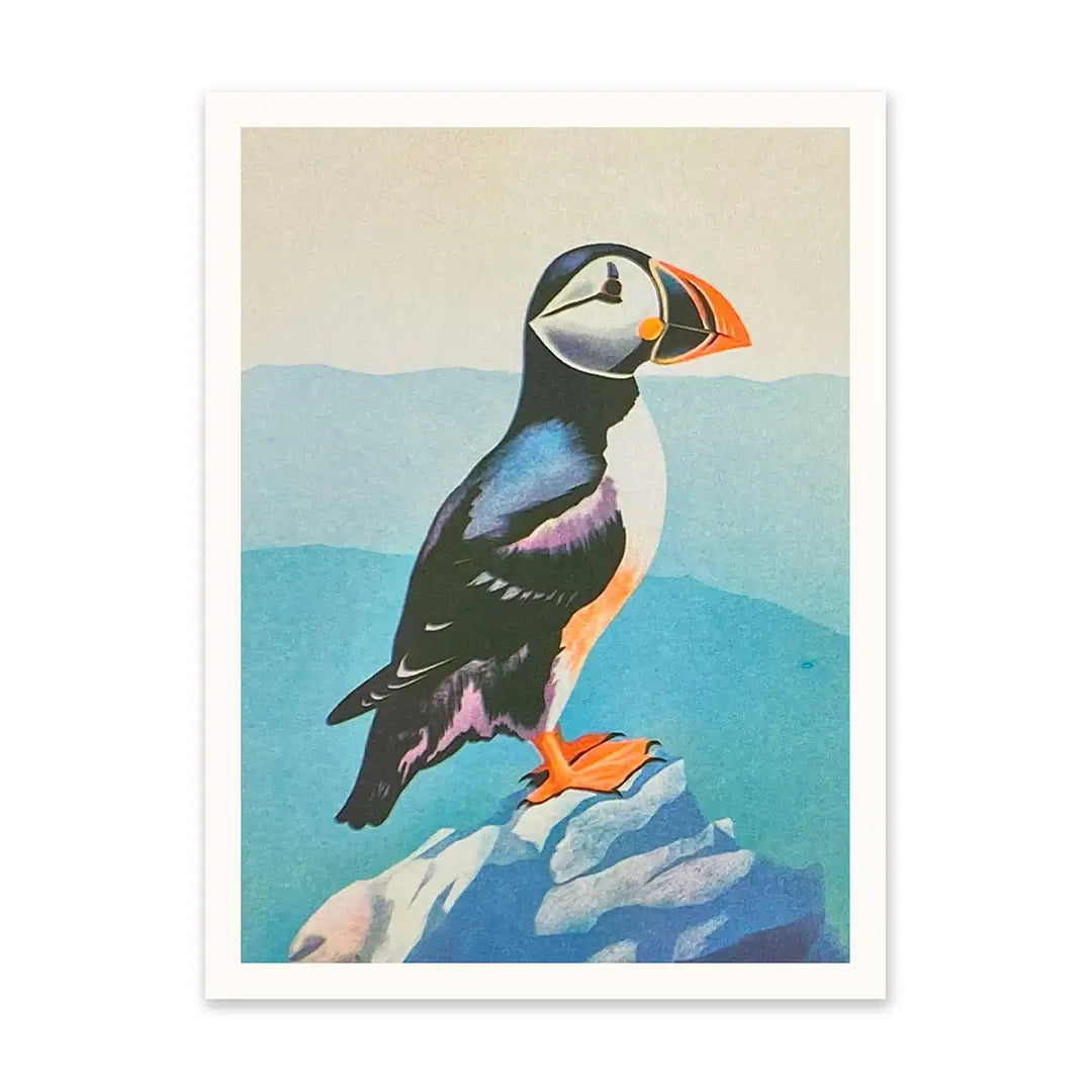 Puffin A5 Riso Art Print