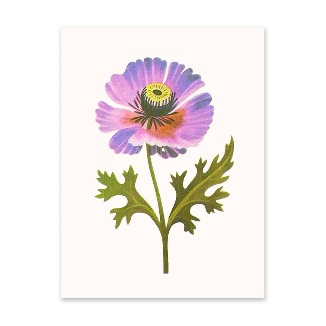 Purple Poppy A5 Riso Art Print