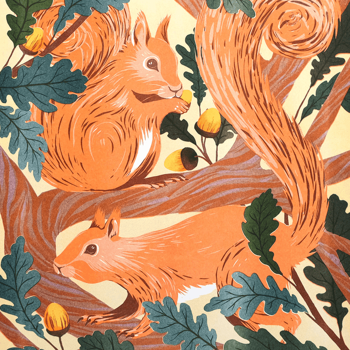 Red Squirrels A3 Risograph Print