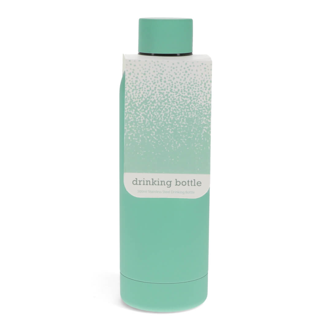 Mint Green Rubber Coated Steel Bottle