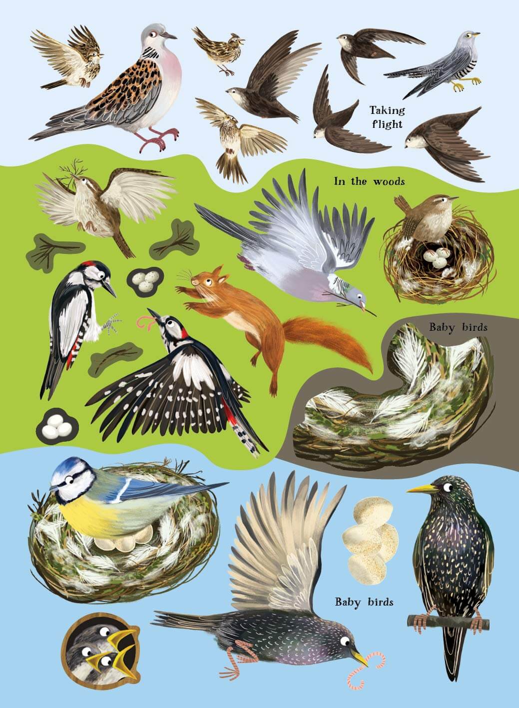 Robins, Wrens and Other British Birds Sticker Book