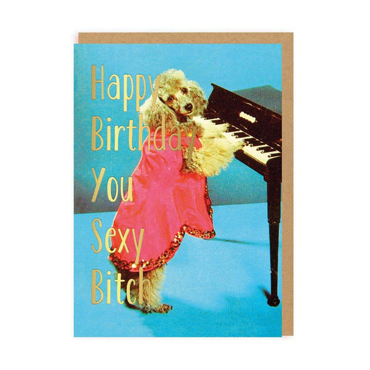 Sexy Bitch Birthday Greetings Card