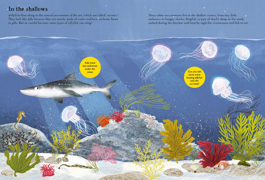 Sharks, Seahorses and Other British Sea Creatures Sticker Book
