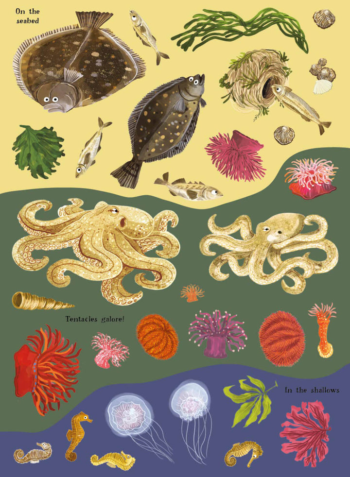 Sharks, Seahorses and Other British Sea Creatures Sticker Book