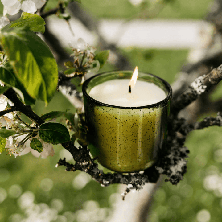 Sea Garden Walled Garden Glass Candle