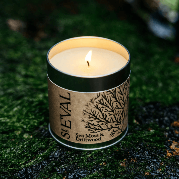 Sea Moss & Driftwood Tin Candle