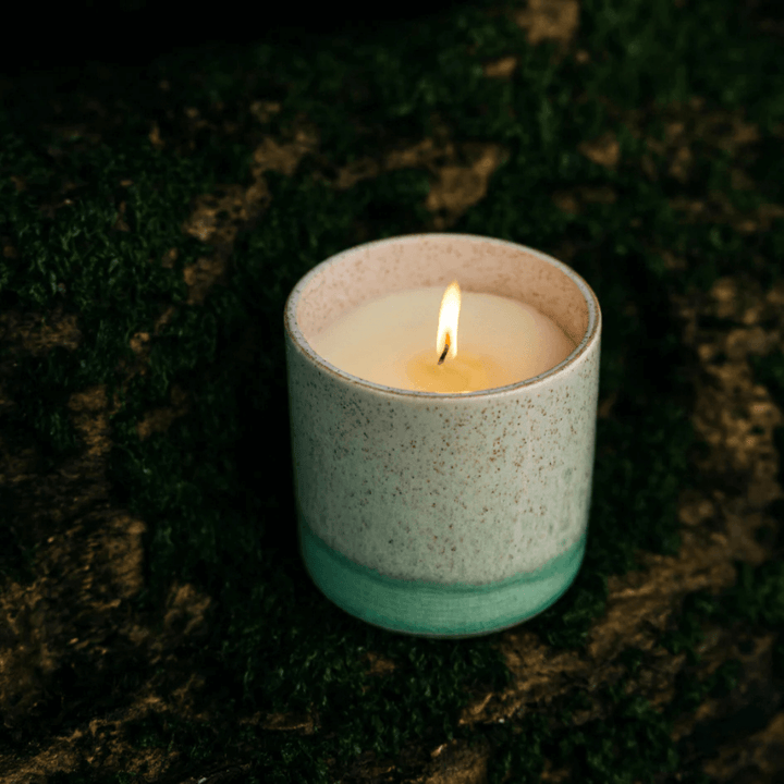 Sea & Shore Fig Tree Pot Candle