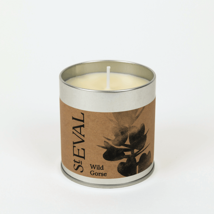 St Eval Wild Gorse Tin Candle