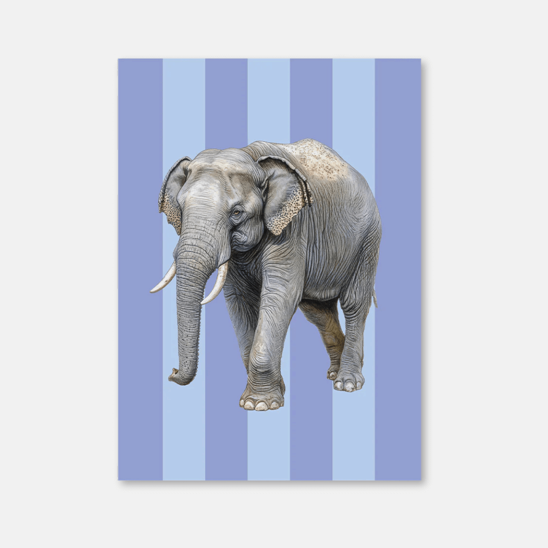 Striped Animal Postcards