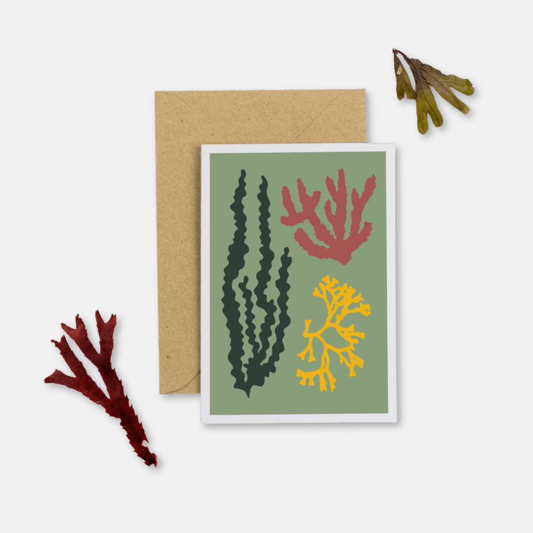 Green Seaweed Any Occasion Greetings Card