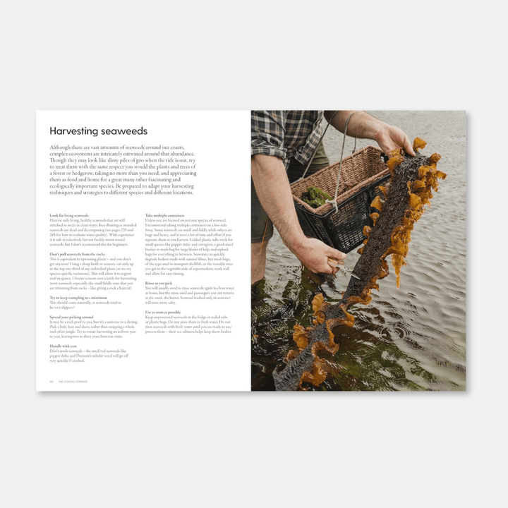 The Coastal Forager: Wild Maritime Food to Preserve, Cook & Eat