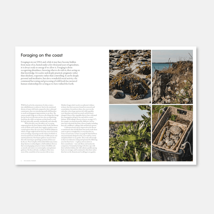 The Coastal Forager: Wild Maritime Food to Preserve, Cook & Eat