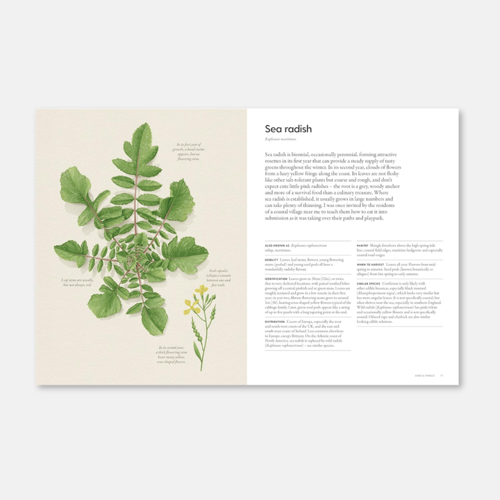 The Coastal Forager: Wild Maritime Food to Preserve, Cook & Eat