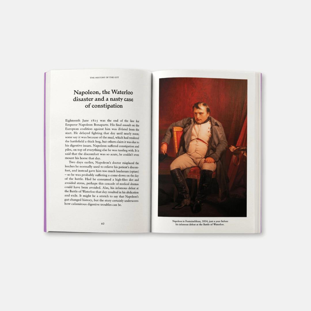 The Gut: A Pocket Primer