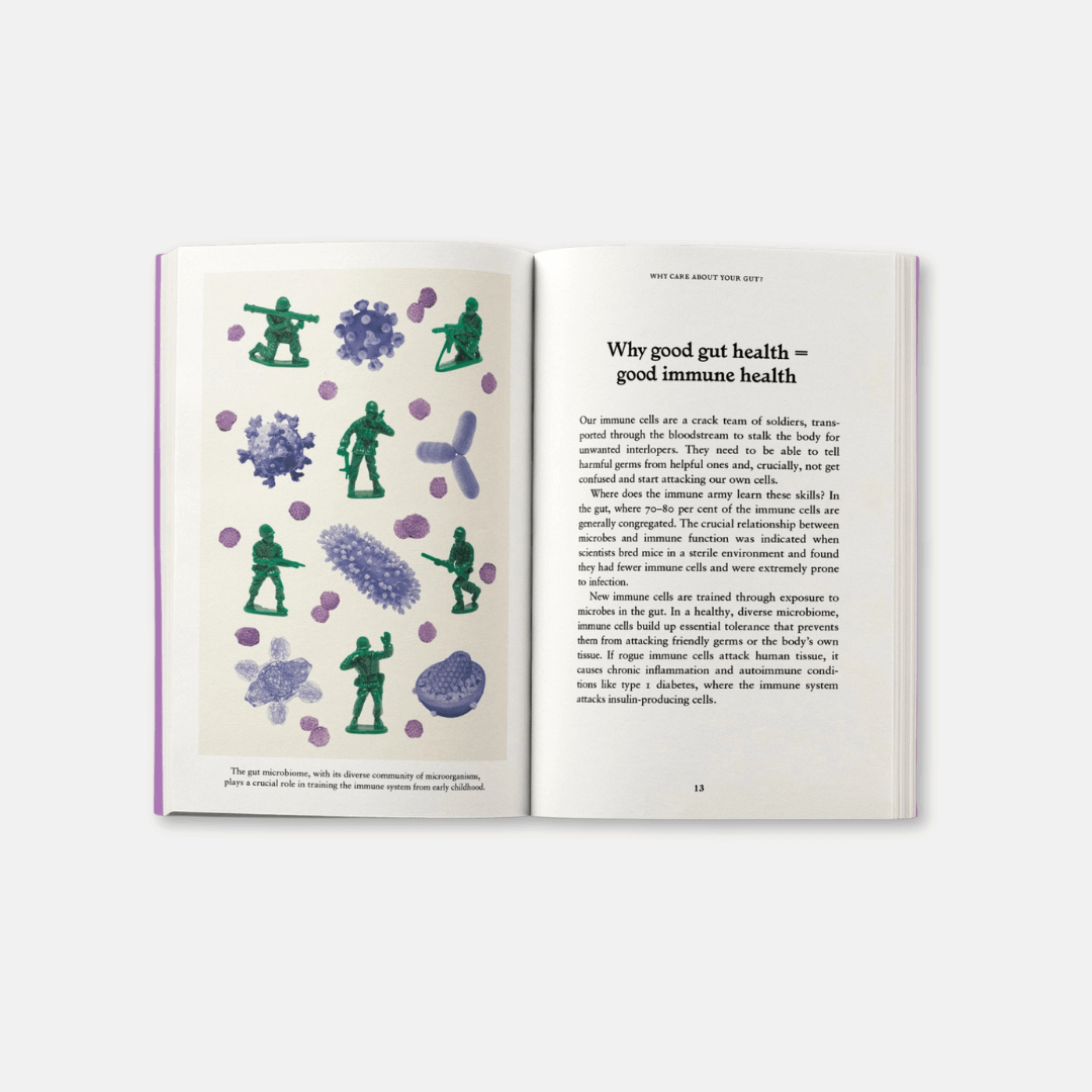 The Gut: A Pocket Primer