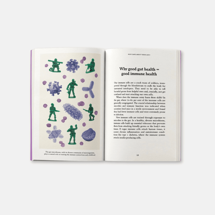 The Gut: A Pocket Primer