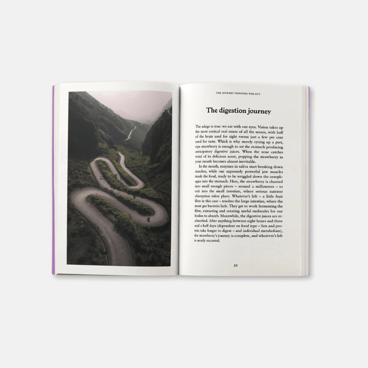 The Gut: A Pocket Primer